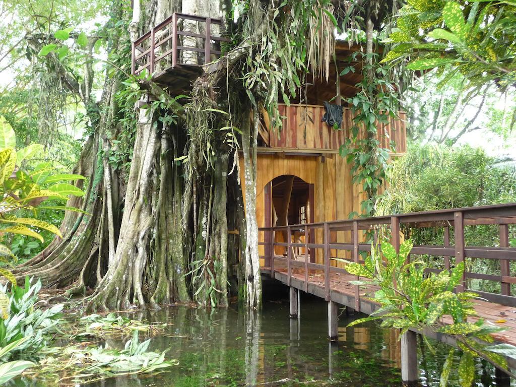 Topos Tree House Cahuita Exterior foto