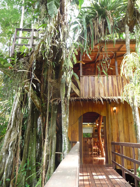 Topos Tree House Cahuita Zimmer foto